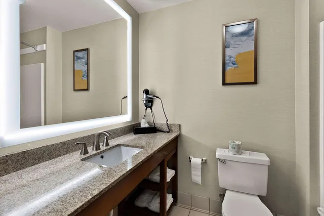 Efficiency, Suite, King Bed، Comfort Inn & Suites Fremont 4/4