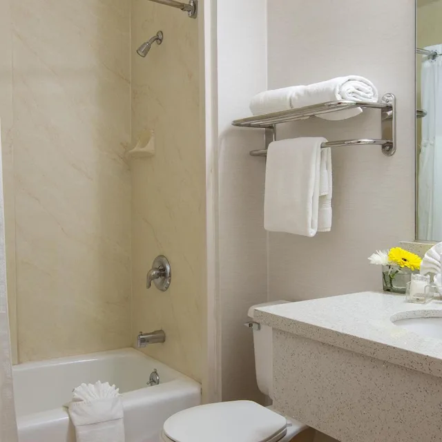 غرفة ديلوكس بسرير كينج، Safari Inn, a Coast Hotel 8/9