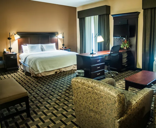 غرفة بسرير كينج مع أريكة لذوي الإعاقة، Hampton Inn & Suites Palestine 1/1