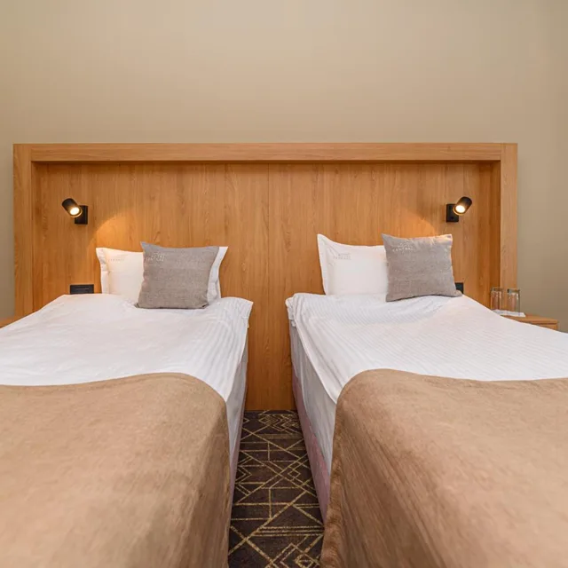 غرفة بزنس سوبيريور بسريرين منفصلين، Hotel Central Pascani 3/5