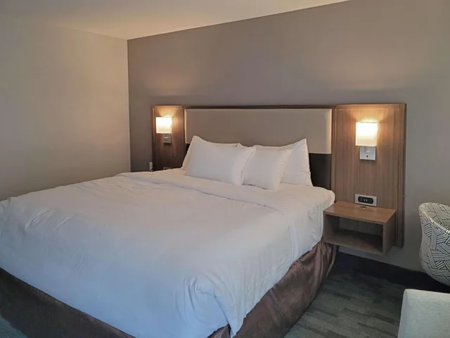 غرفة بسرير كينج لذوي الإعاقة، Comfort Inn & Suites Wyomissing/Reading 4/8