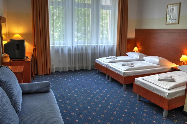 Family, Single Bed, Hotel Europa City 3/10