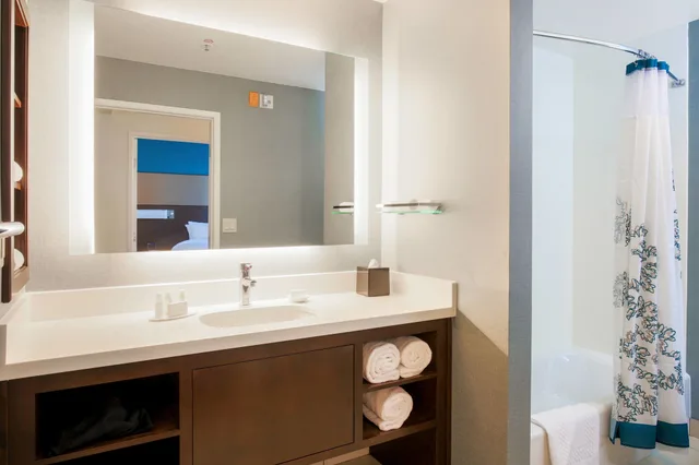 جناح بسرير كينج بغرفة نوم واحدة مع أريكة، Residence Inn By Marriott San Jose Airport 3/3