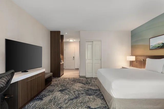 غرفة بسرير كينج بشرفة بغرفة نوم واحدة بحوض استحمام لذوي الإعاقة، Hilton Garden Inn Santa Barbara/Goleta 6/9