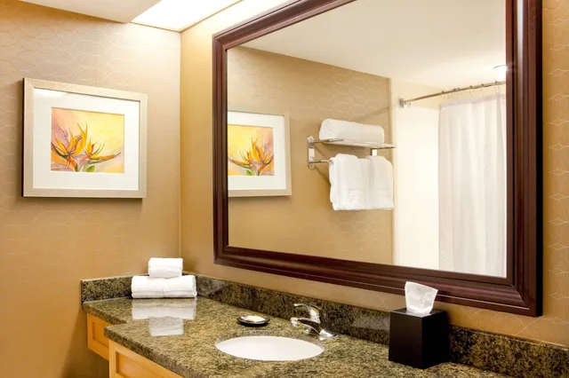 غرفة بسرير كينج، Sheraton Myrtle Beach 14/15