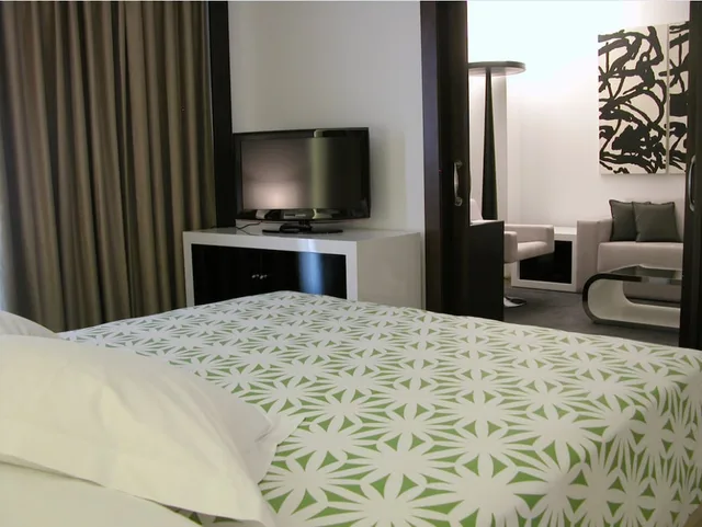جناح جونيور، Hotel Palacio Albacete and Spa 1/9