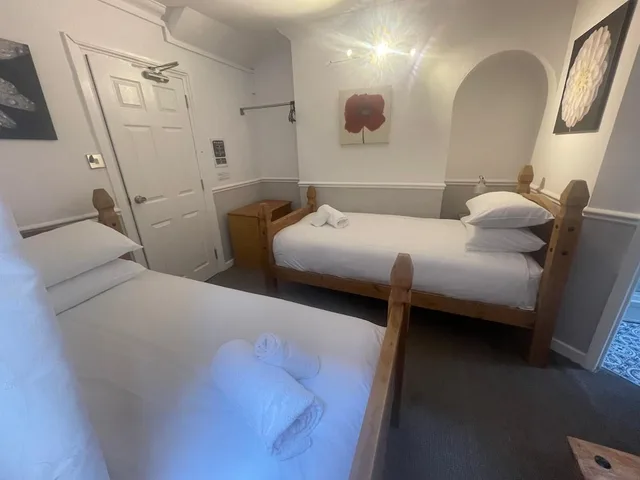 غرفة قياسية بسريرين منفصلين، Central Hotel 3/8