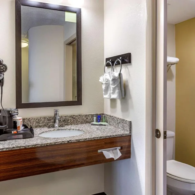 غرفة بسريرين كوين يُسمح فيها بالحيوانات الأليفة، Sleep Inn Henderson 4/4