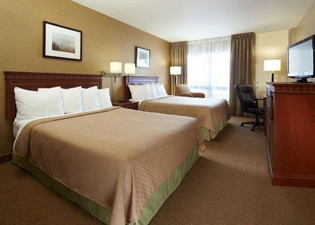 Efficiency, Suite, 2 Queen Beds, Quality Inn & Suites P.E. Trudeau Airport 1/1