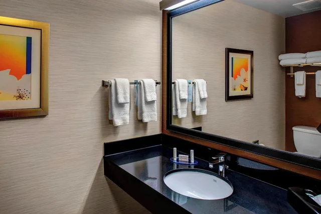 غرفة بسرير كينج لذوي الإعاقة، Fairfield Inn Suites Emporia I 95 3/5