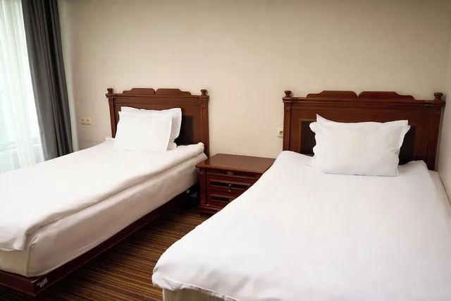 غرفة سوبيريور بسريرين منفصلين، Almaty Hotel 1/2