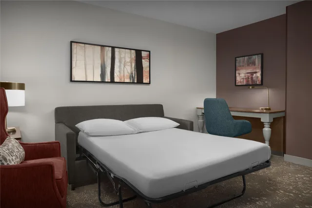 غرفة ديلوكس بسرير كينج مع أريكة، Hilton Garden Inn Westbury 1/2
