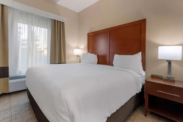 جناح بسرير كينج مع أريكة، Comfort Inn & Suites Mankato, MN 2/3