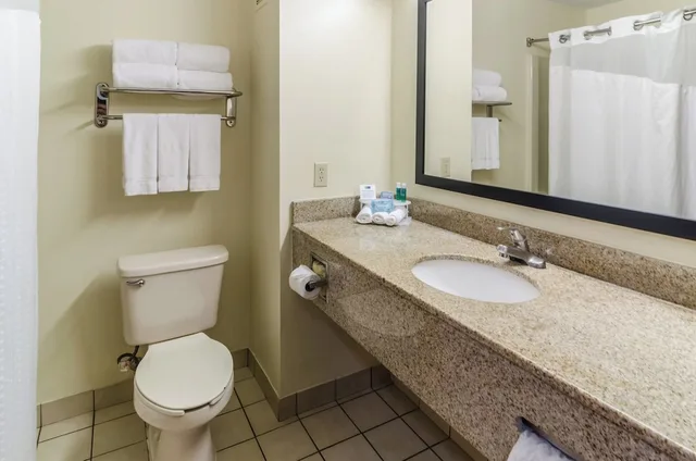 غرفة قياسية بسرير كينج، Holiday Inn Express Hotel And Suites Vinita 2/2