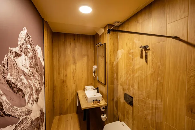Deluxe, Double or Twin Bed, Mountain View, Hotel Kranjska Gora 8/10