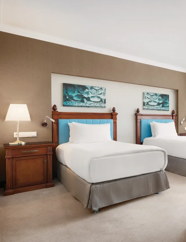 غرفة ديلوكس بسريرين منفصلين، Wyndham Grand Kayseri 9/10