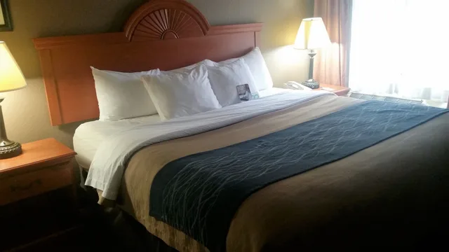 Standard, King Bed, Comfort Inn Downtown University Area 3/5