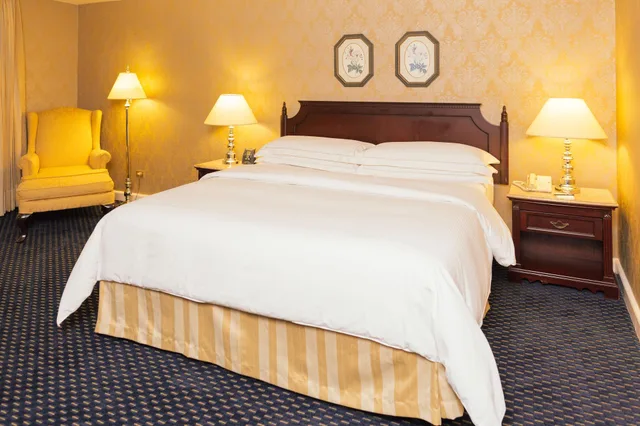 جناح تنفيذي بغرفة نوم واحدة، Hilton Princess Managua 8/10