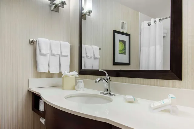 غرفة ديلوكس بسرير كينج مع أريكة، Hilton Garden Inn Portland Airport, ME 7/8