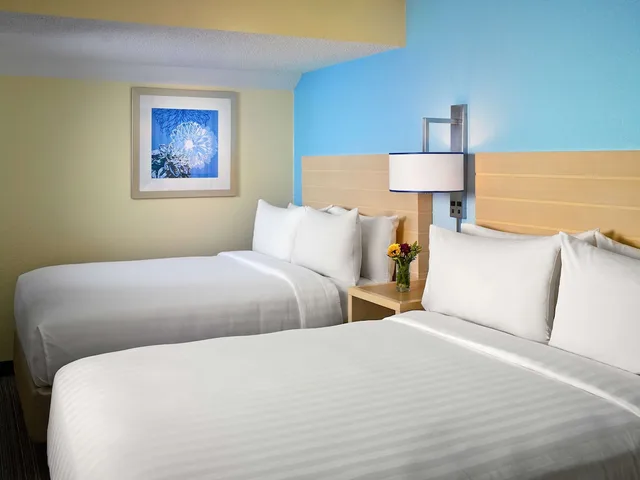 جناح بسريرين كوين، Sonesta Es Suites Burlington VT 1/2