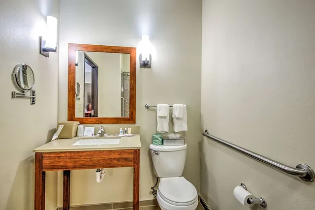 جناح بسرير كينج مع أريكة لذوي الإعاقة، Comfort Suites Tomball Medical Center, TX 7/10