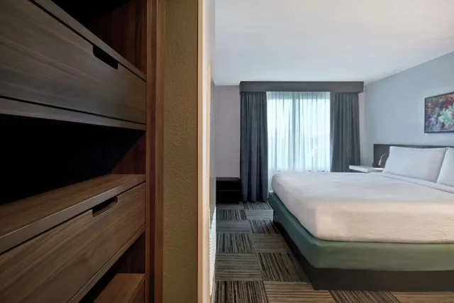 جناح بسرير كينج، Hilton Garden Inn Houston/Galleria Area 1/2