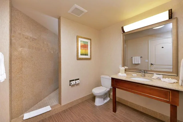 غرفة ديلوكس بسرير كينج لذوي الإعاقة، Hilton Garden Inn Boise Spectrum 4/5