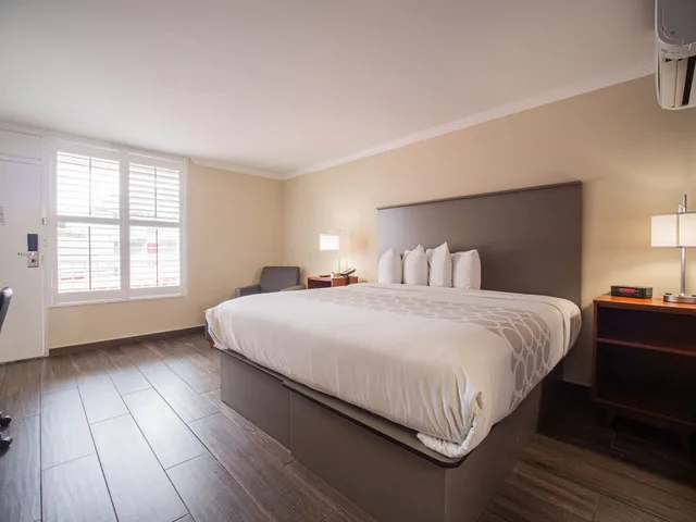 غرفة جونيور بسرير كينج، Equus Inn Ocala 1/7