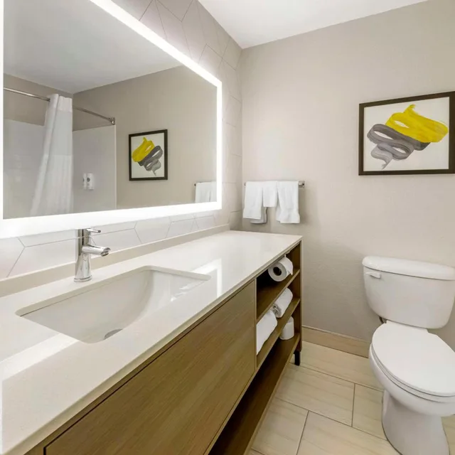 Deluxe, Single, Comfort Inn & Suites Oklahoma City, OK 1/2