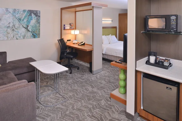 Suite, King Bed, Sofa, Accessible, Springhill Suites By Marriott 3/3