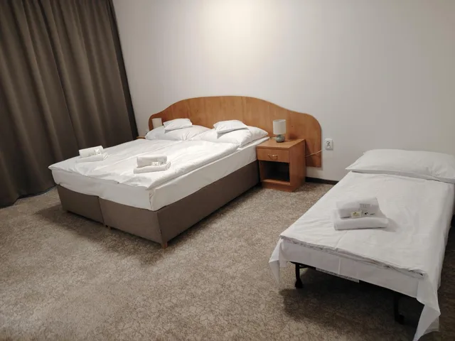 غرفة بسرير مزدوج أو سريرين منفصلين مع سرير إضافي، Legie Hotel 7/10