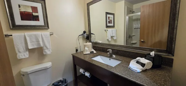 غرفة بسرير كينج لذوي الإعاقة، Wingate By Wyndham San Marcos 4/5