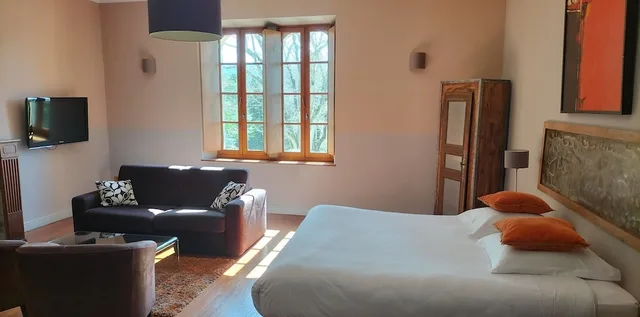 جناح جونيور بسرير كينج مع أريكة، HOTEL CHATEAU DE PALAJA 4/6