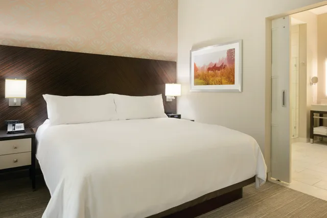 جناح بسرير كينج لذوي الإعاقة، Embassy Suites Louisville Downtown 1/3