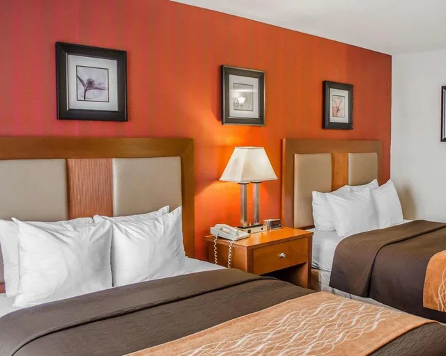 غرفة بسريرين مزدوجين، Hotel Hanna 1/1
