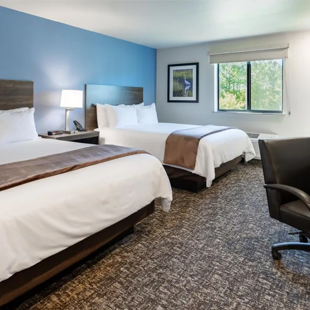 غرفة بسرير كينج وسريرين كوين، My Place Hotel-East Moline/Quad Cities, IL 1/4