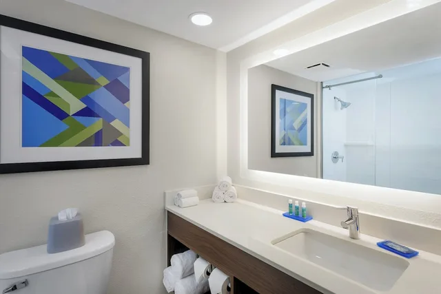غرفة قياسية بسرير فردي، Holiday Inn Express Exton - Great Valley 2/3
