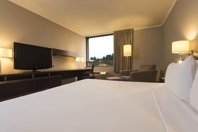 غرفة قياسية بسرير فردي، HOLIDAY INN EXPRESS CONCEPCION 5/7