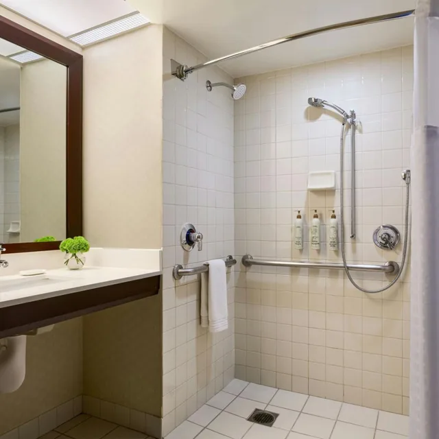 Room, King Bed, Bathtub, Accessible, Renaissance Los Angeles Airport Hotel 3/10