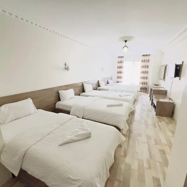 سكن مشترك مختلط بأربعة أسرّة، Toprak Hotel 1/3