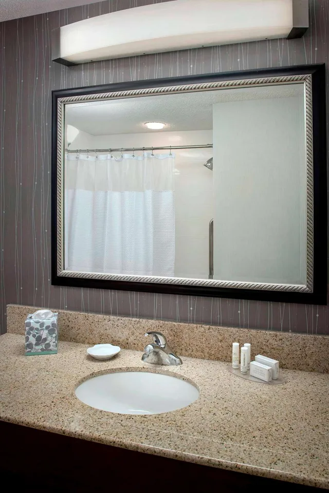 غرفة ديلوكس بسرير كينج مع أريكة، Sonesta Select Tinton Falls Eatontown 3/3