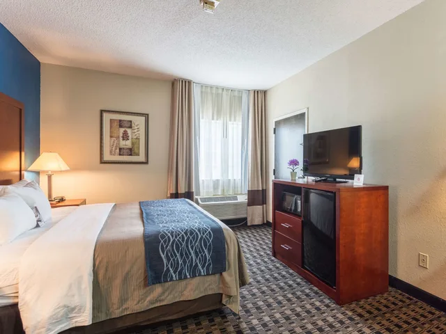 غرفة بسرير كينج لذوي الإعاقة، Comfort Inn Decatur Priceville 2/3