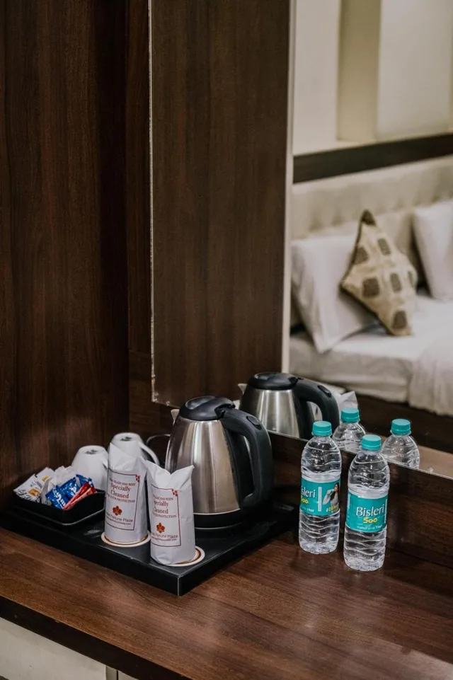 Hotel Fortune Plaza، أجمير 28/42