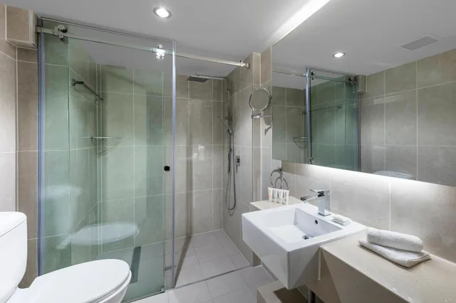 استوديو تنفيذي بسرير كوين، Hotel Diana 4/4