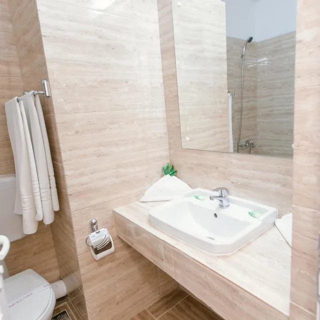 غرفة بسرير مزدوج، HOTEL MURES 2/2