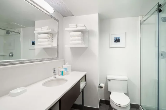 1 Bedroom, Suite, King Bed, Sofa, Hampton Inn Philadelphia Center City Convention Center 1/1