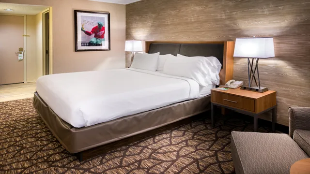 غرفة بسرير كينج لذوي الإعاقة، Holiday Inn Hotel Suites Warren 3/4