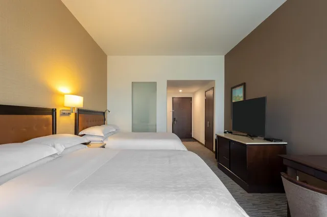 غرفة كلوب بسريرين منفصلين، Sheraton Bogota Hotel 1/4