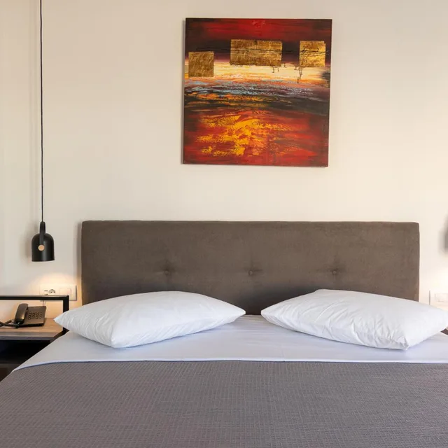 غرفة ديلوكس بسرير كينج، Dunlin Hotel Athens 1/3