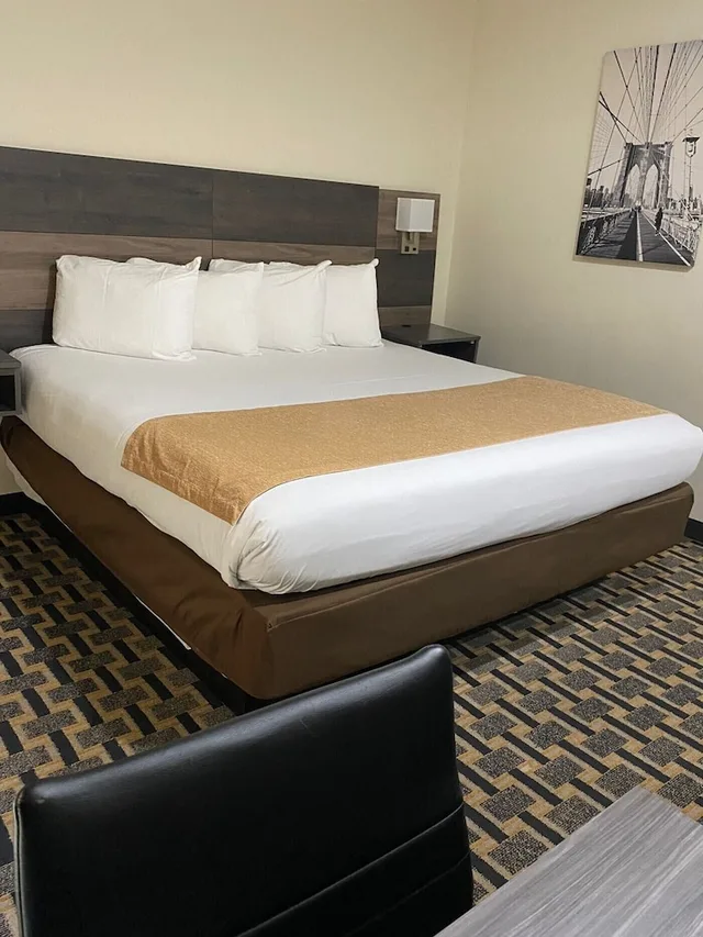 Basic, Single, King Bed, Accessible, Bogart Hotel 2/8